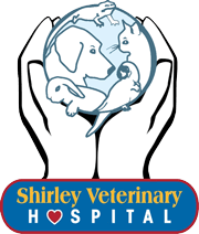Shirley Veterinary Hospital